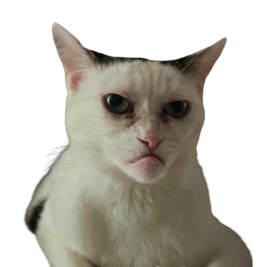 Marla the Cat Collage